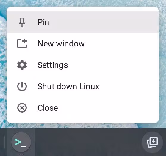 Pinning the Terminal app to the shelf.