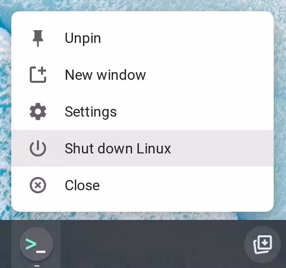 正在关闭 Linux 容器。