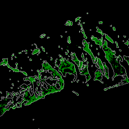 LANDSAT/MANGROVE_FORESTS