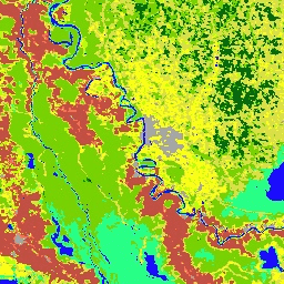 MODIS/061/MCD12Q1 Sample Image