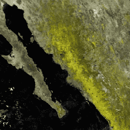 MODIS/061/MOD09Q1 Sample Image