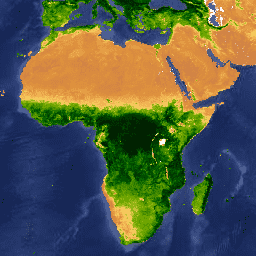 MODIS/061/MOD13A2 Sample Image