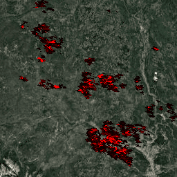 MODIS/061/MOD14A1