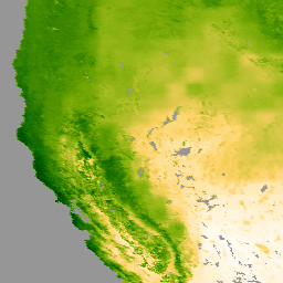 MODIS/061/MOD16A2GF Sample Image