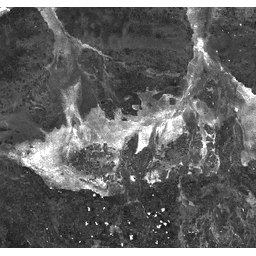 ภาพตัวอย่าง MODIS/MCD43A4_006_BAI
