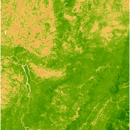 รูปภาพตัวอย่าง MODIS/MCD43A4_006_EVI