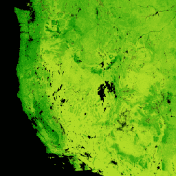 UMT/NTSG/v2/MODIS/NPP