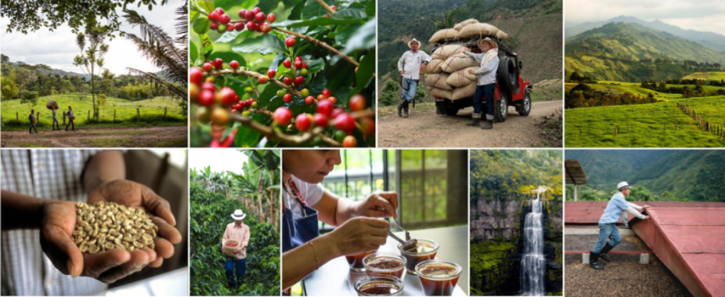 Exemple d&#39;expérience optimale : visite guidée d&#39;un café