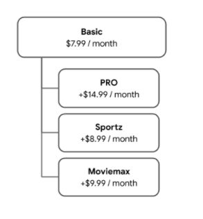 どのユーザーも Basic チャンネルを使用して開始し、PRO、Sportz、Moviemax チャンネルを自由に組み合わせることができます。