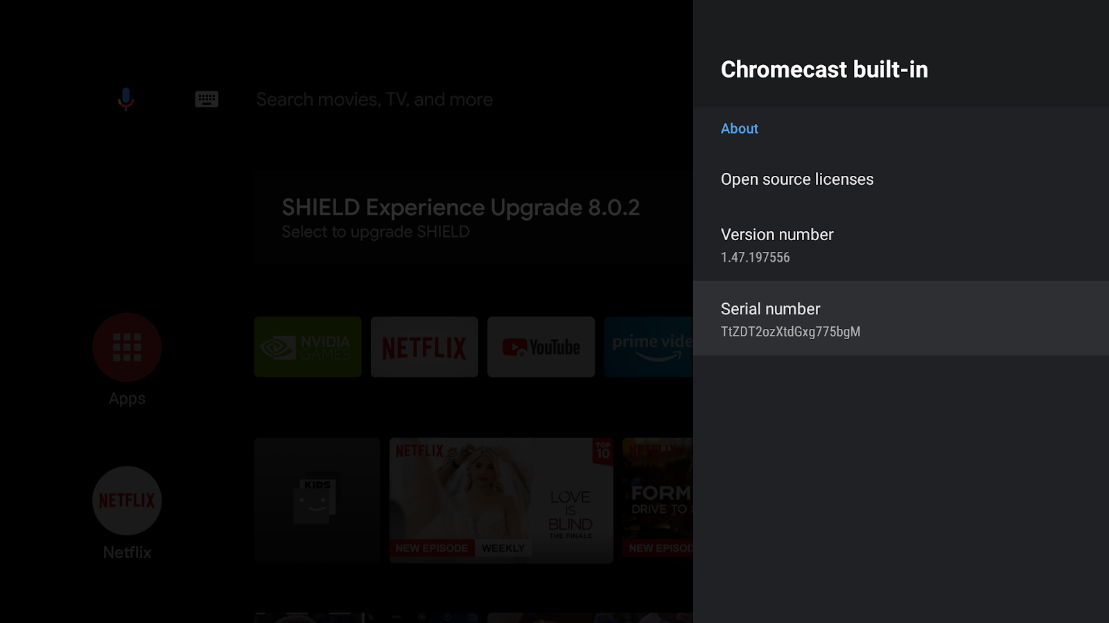 รูปภาพหน้าจอ Android TV แสดงหน้าจอ &quot;Chromecast ในตัว&quot; หมายเลขเวอร์ชัน และหมายเลขซีเรียล