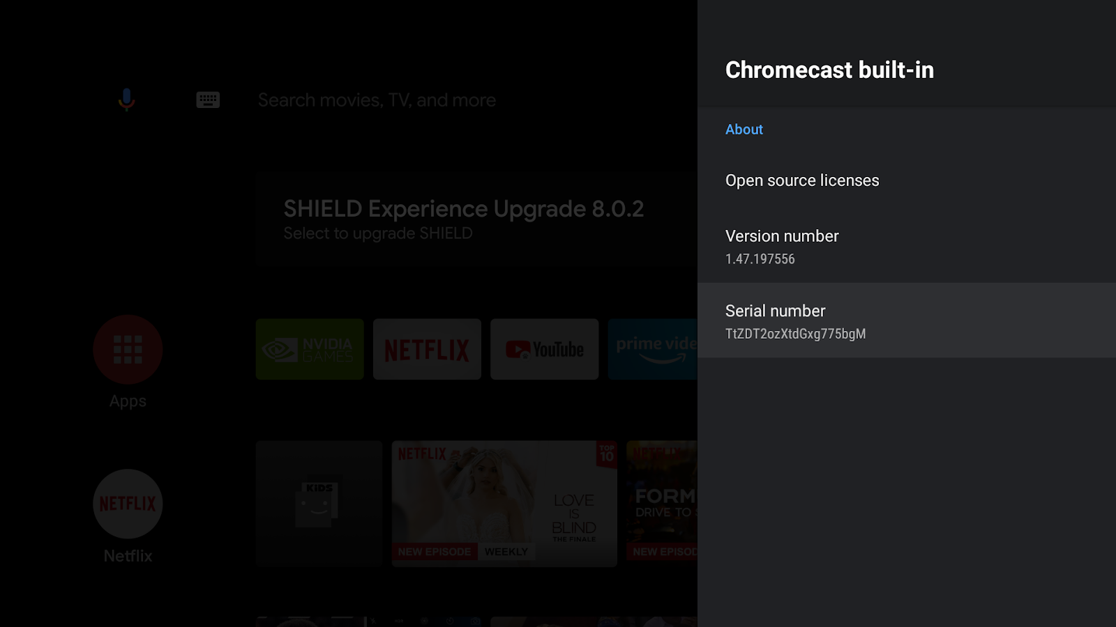 Android TV 屏幕的图片，显示了“Google Cast”屏幕、版本号和序列号