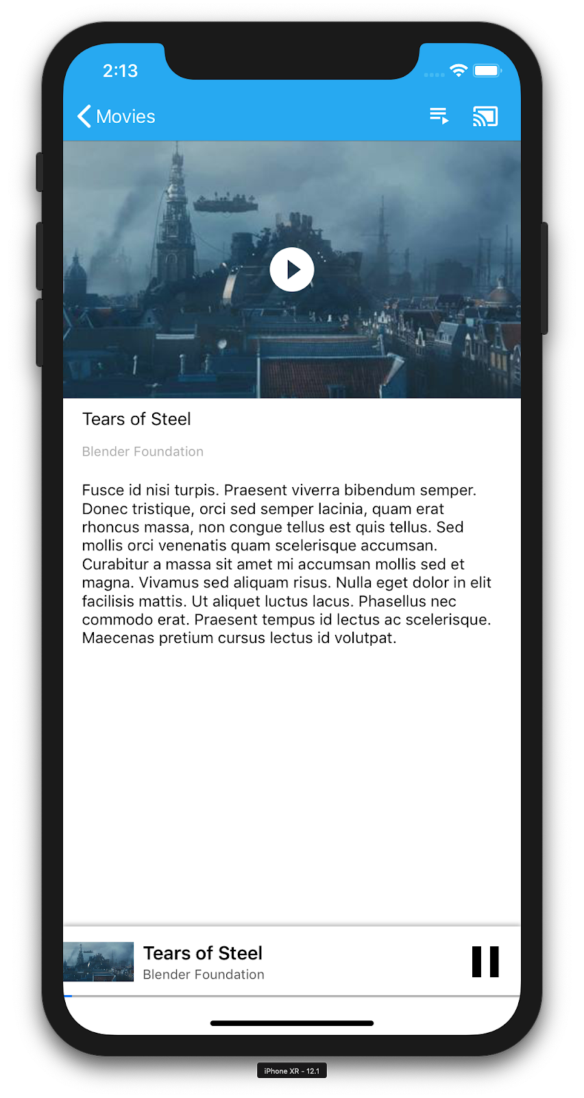 CastVideos アプリを実行している iPhone の特定の動画（「Tears of Steel」）の詳細が表示されたイラスト。下部はミニプレーヤー