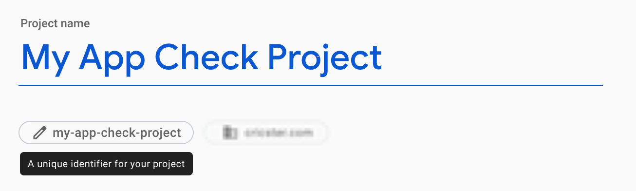 Imagen que muestra los detalles para ingresar el nombre del proyecto.