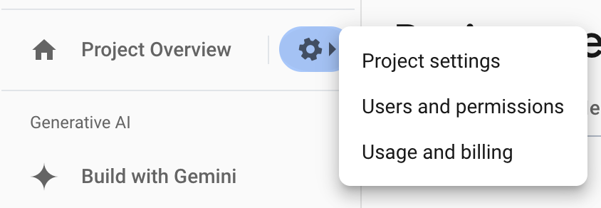 Bild mit den Firebase-Projekteinstellungen
