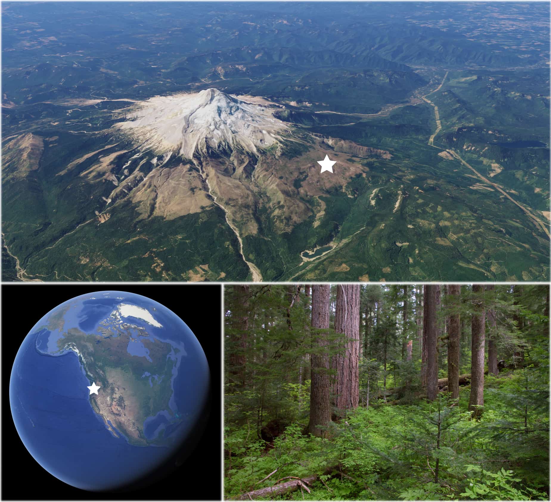 منطقة محط الاهتمام