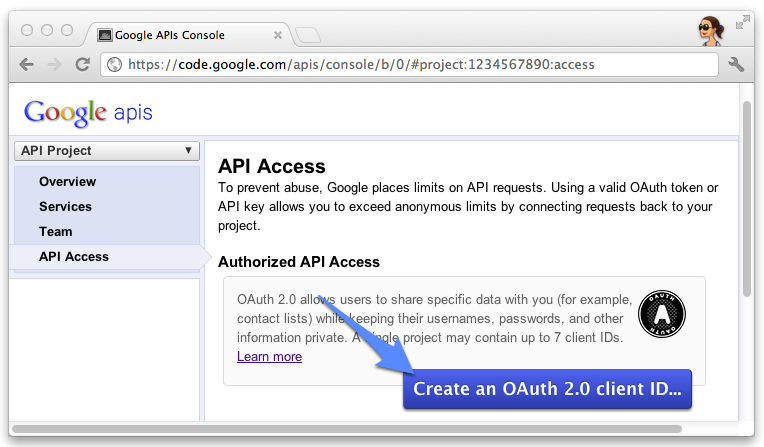 Google API 控制台的“API 访问权限”部分
