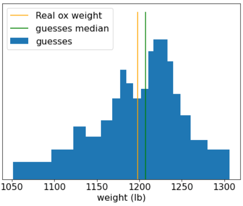 Histogram of individual guesses, showing most guesses clustered around
the actual weight of the ox.
