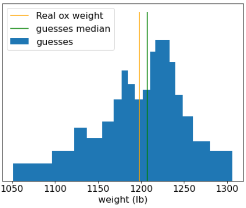 Histogram z poszczególnymi szacunkami, pokazujący, że większość z nich skupia się wokół rzeczywistej wagi byka.