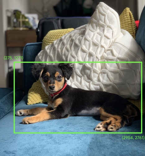 ソファに座っている犬の写真。左上の座標が（275, 1271）、右下の座標が（2954, 2761）の緑色の境界ボックスが犬の体を囲んでいる