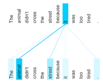 The following sentence appears twice: The animal didn't cross the
          street because it was too tired. Lines connect the pronoun it in
          one sentence to five tokens (The, animal, street, it, and
          the period) in the other sentence. The line between the pronoun it
          and the word animal is strongest.