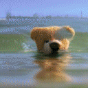סרטון של דובי שוחה מתחת למים.