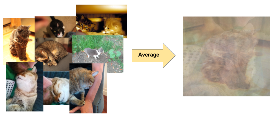 kolaż zdjęć kotów w różnych miejscach, z różnymi tłami i oświetleniem oraz uśrednione dane piksela z obrazów.