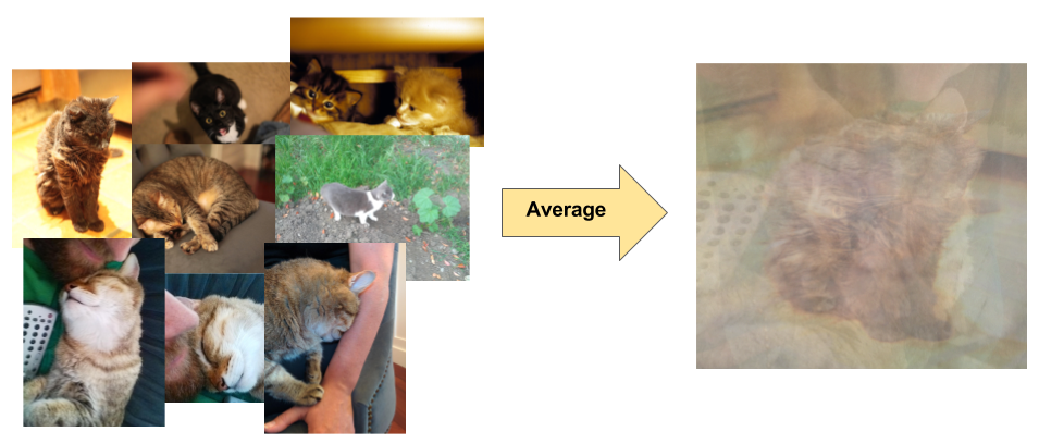 Collage aus Fotos, auf denen Katzen an unterschiedlichen Positionen mit unterschiedlichen Hintergründen und Lichtverhältnissen zu sehen sind, und den daraus resultierenden durchschnittlichen Pixeldaten aus den Bildern