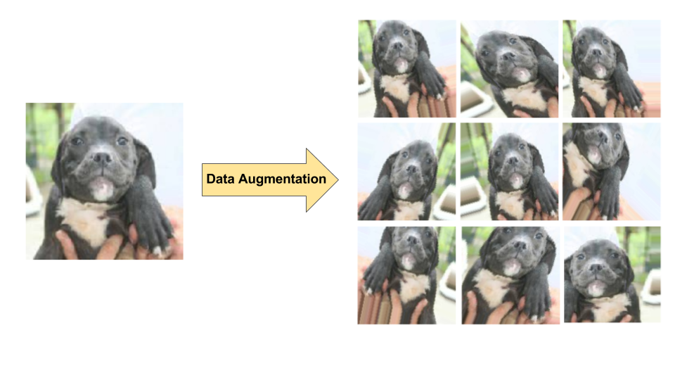 Diagram of data augmentation on a single dog image, producing 9 new images via
random transformations