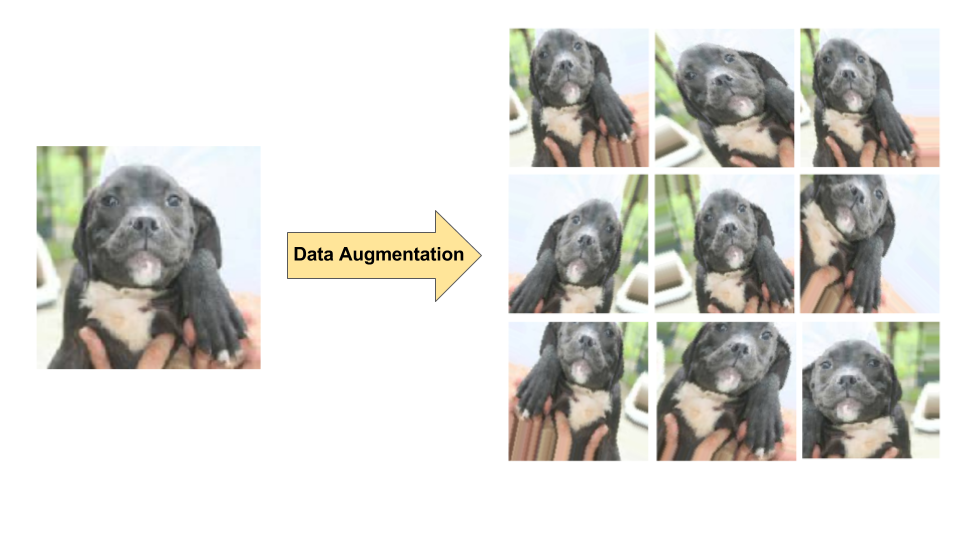 Diagrama del aumento de datos en una sola imagen de un perro, lo que produce 9 imágenes nuevas a través de transformaciones aleatorias