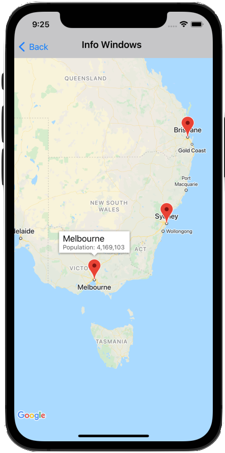 یک پنجره اطلاعات که روی یک نشانگر ظاهر میشود.