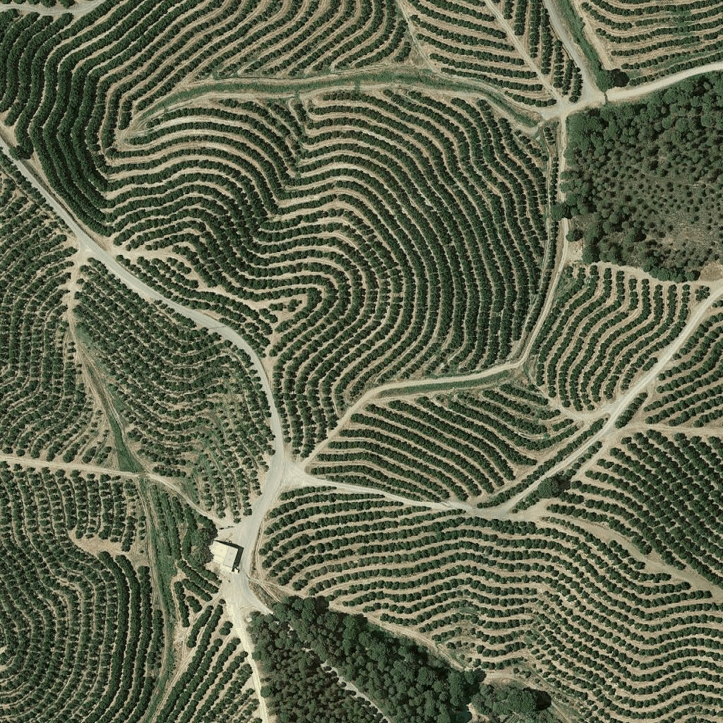 Panoramica dei riquadri satellitari