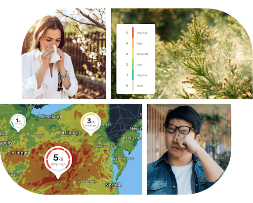 Collage of people sneezing and Pollen API renderings.