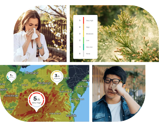 Collage mit Personen, die niesen, und Pollen API-Renderings.