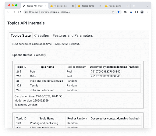 Zapoznaj się z interfejsem Topics API na stronie chrome://topics-internals.