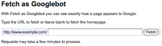 fetch as googlebot feature in webmaster tools