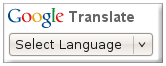 the google translate widget for websites