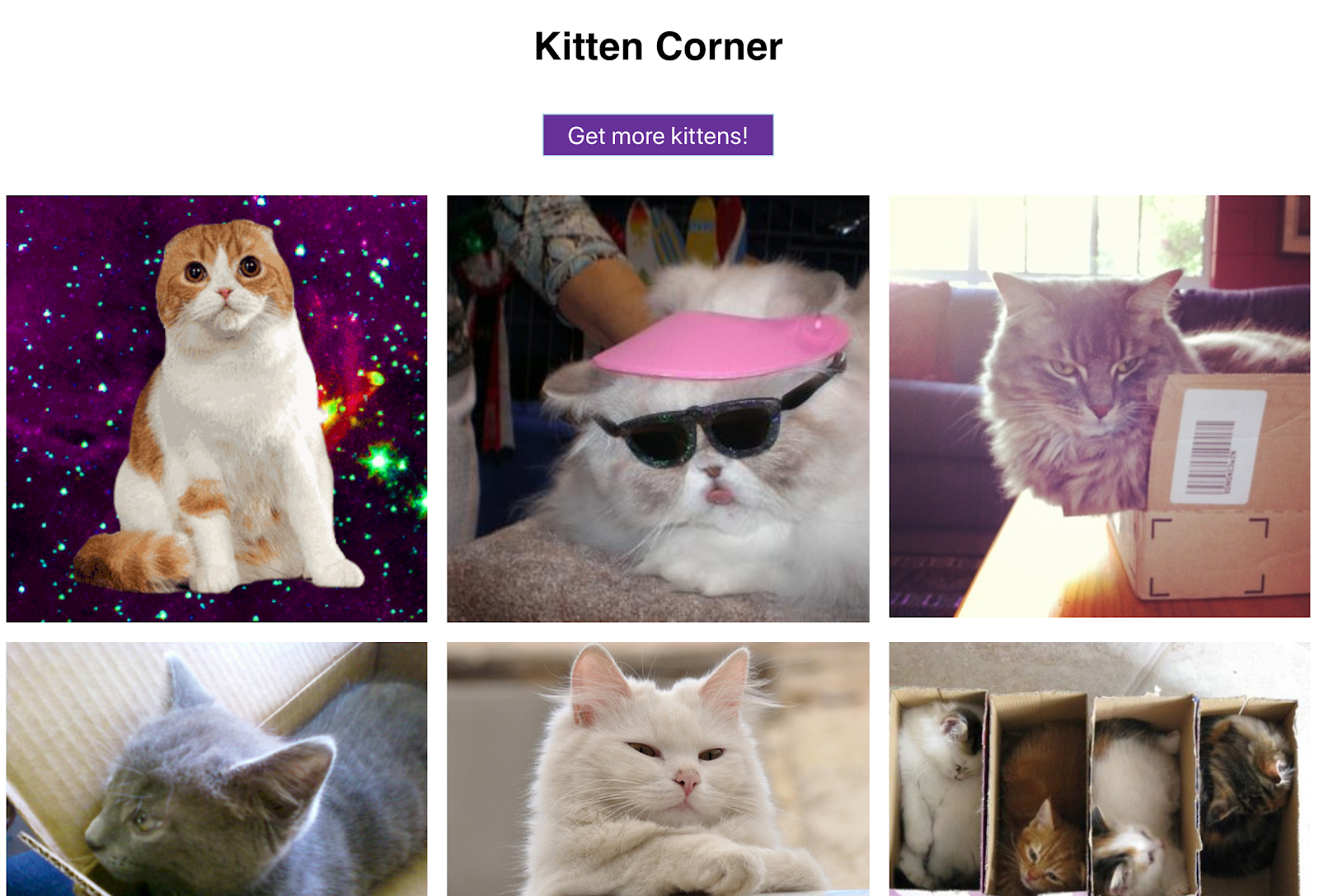 Gambar kucing lucu dalam petak dan tombol untuk menampilkan gambar lainnya - aplikasi web ini benar-benar lengkap!