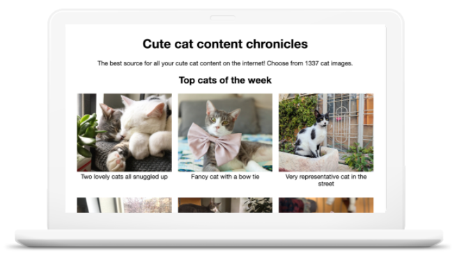 Um site que mostra seis imagens diferentes de gatos. O título do site em inglês significa "Crônicas de conteúdo dos gatos fofos".