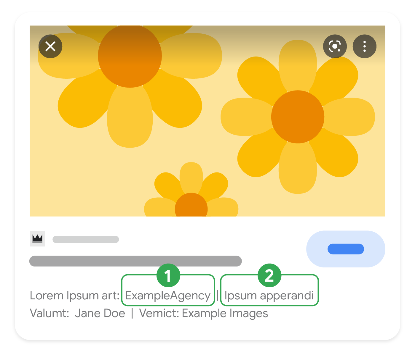 Imagen en la que se muestran las partes de los metadatos de licencia que pueden aparecer en Google Imágenes