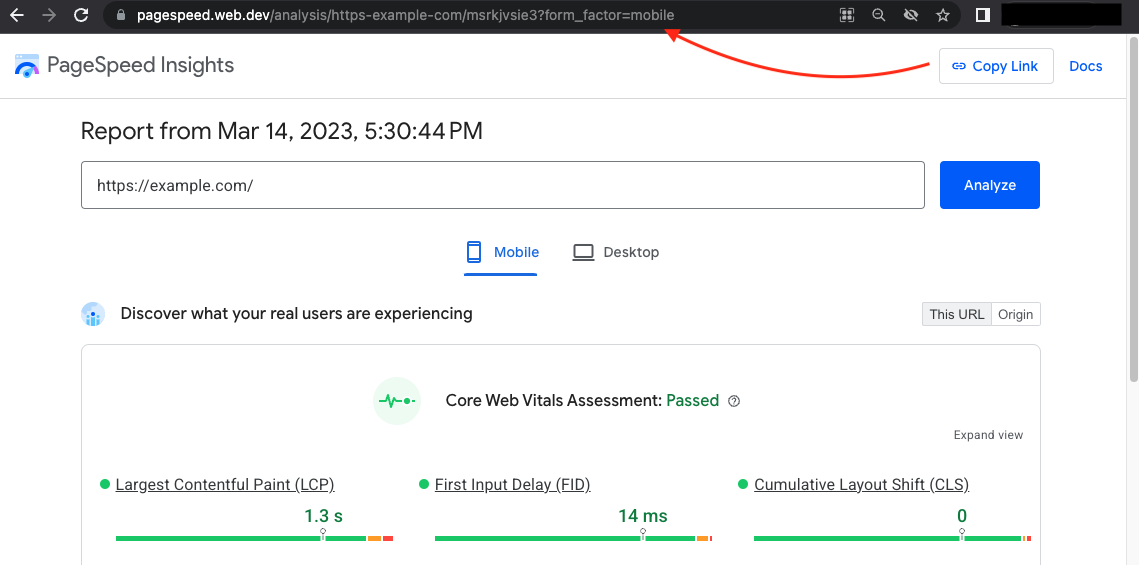 Screenshot of shareable links in PageSpeed Insights UI.