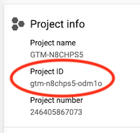 GCP 项目选择器的屏幕截图，其中显示了一个示例跟踪代码管理器的项目 ID。