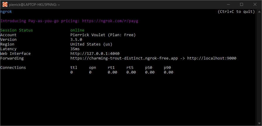 La terminal con el servidor “ngrok”
en ejecución y redireccionamiento