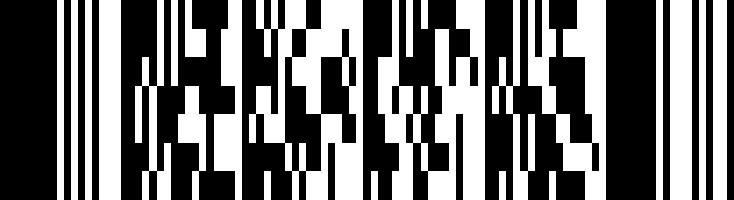 A code in PDF 417 format