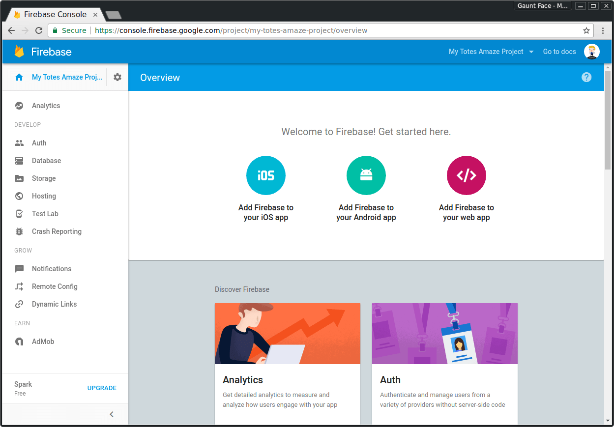 Page d&#39;accueil du projet Firebase